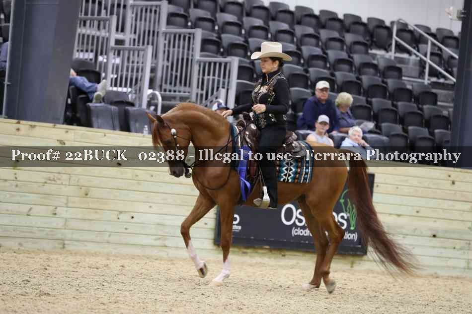 Proof 22BUCK_02388