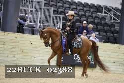 22BUCK_02388 proof