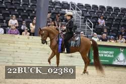 22BUCK_02389 proof
