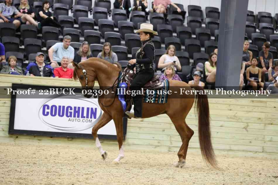 Proof 22BUCK_02390