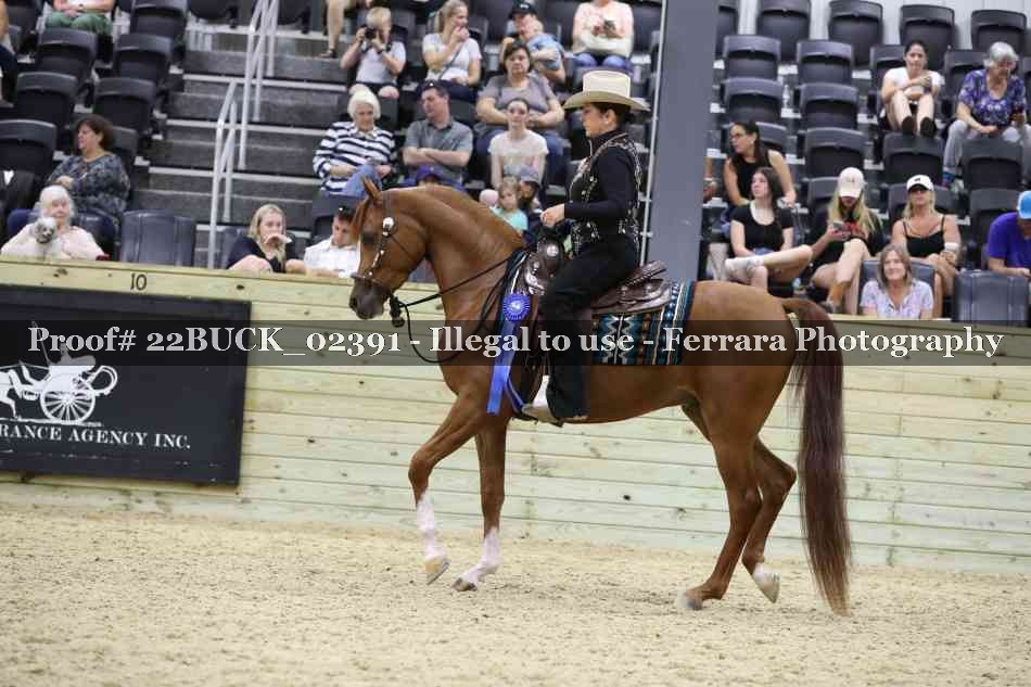 Proof 22BUCK_02391