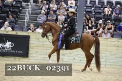 22BUCK_02391 proof