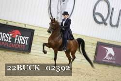 22BUCK_02392 proof