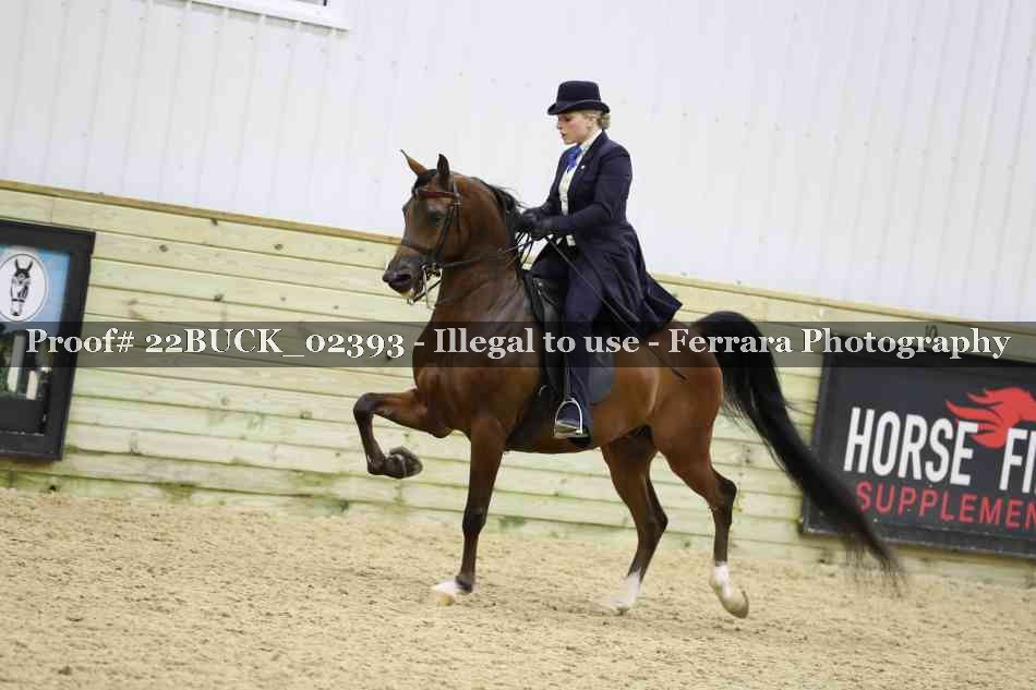 Proof 22BUCK_02393