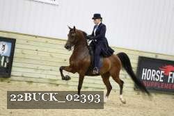 22BUCK_02393 proof
