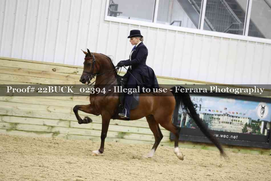 Proof 22BUCK_02394