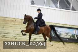 22BUCK_02394 proof