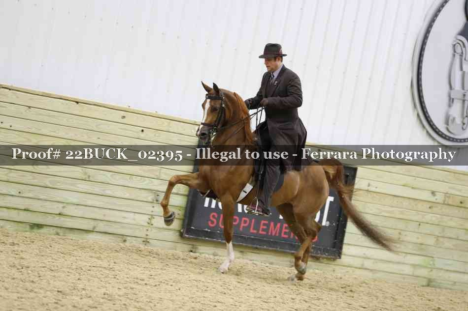 Proof 22BUCK_02395