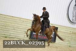 22BUCK_02395 proof