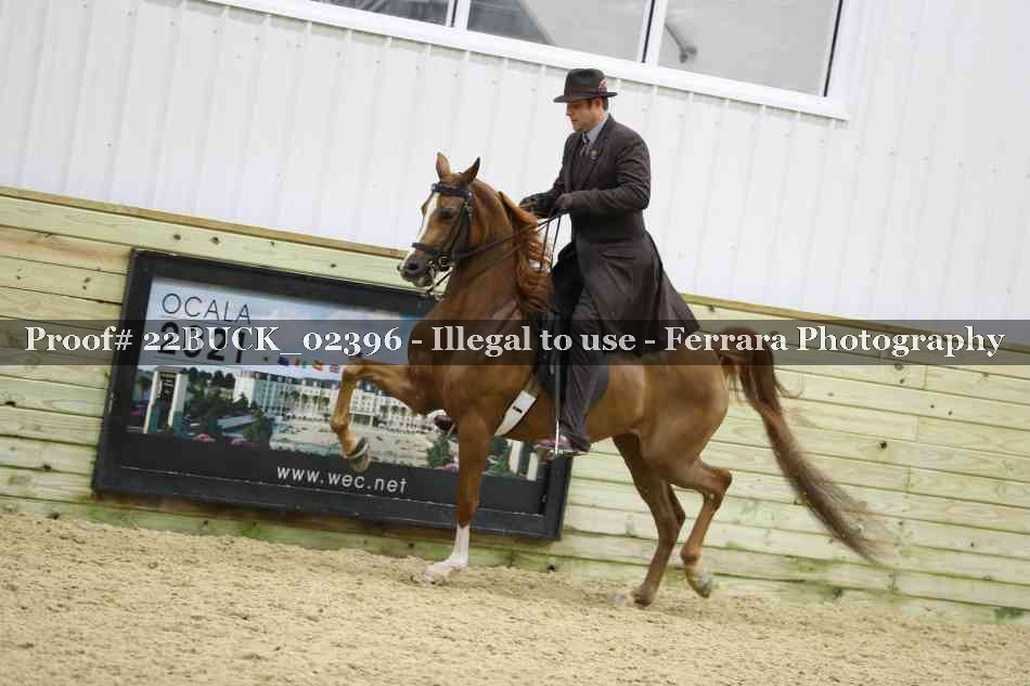 Proof 22BUCK_02396
