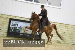 22BUCK_02396 proof
