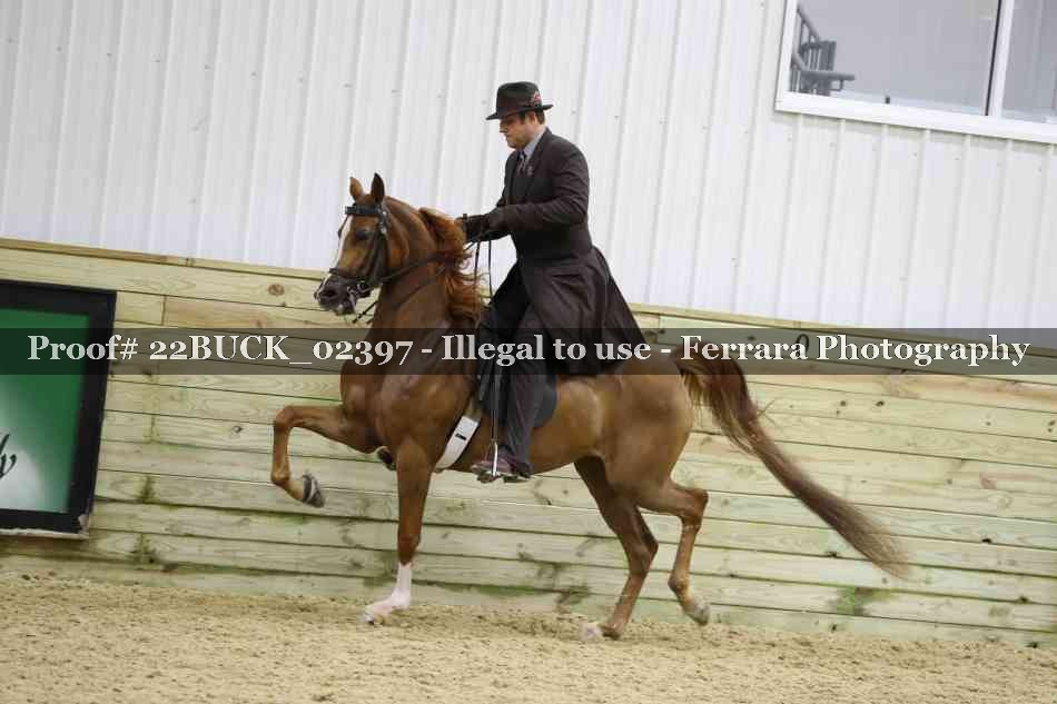 Proof 22BUCK_02397