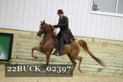 22BUCK_02397 proof