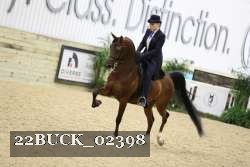 22BUCK_02398 proof