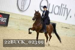 22BUCK_02399 proof