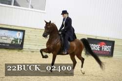 22BUCK_02400 proof