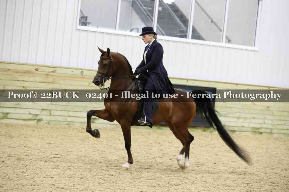Proof 22BUCK_02401