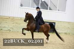 22BUCK_02401 proof