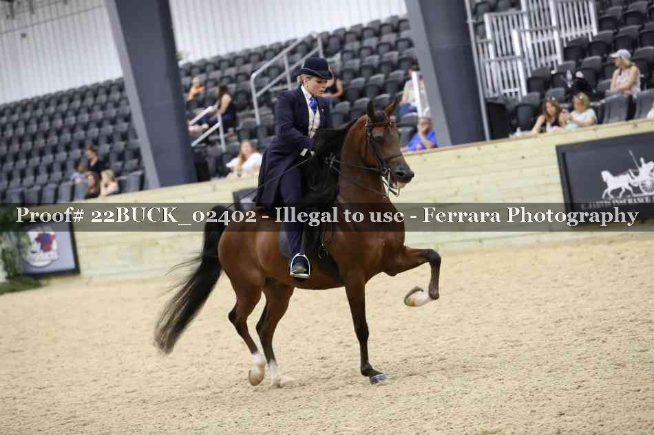 Proof 22BUCK_02402