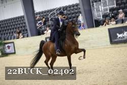 22BUCK_02402 proof