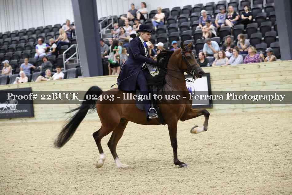 Proof 22BUCK_02403