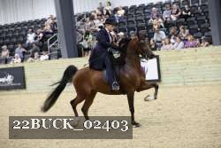 22BUCK_02403 proof