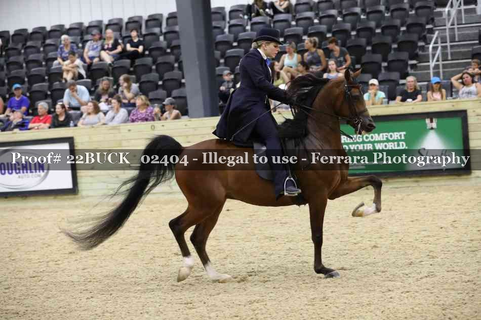Proof 22BUCK_02404