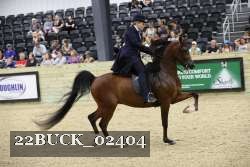 22BUCK_02404 proof