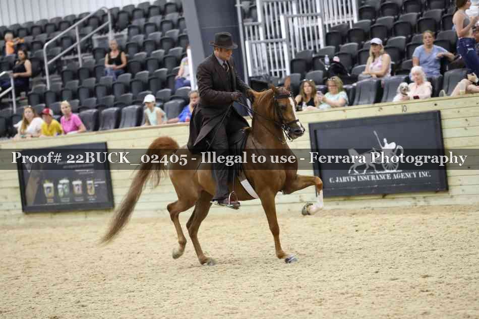 Proof 22BUCK_02405
