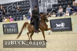 22BUCK_02405 proof