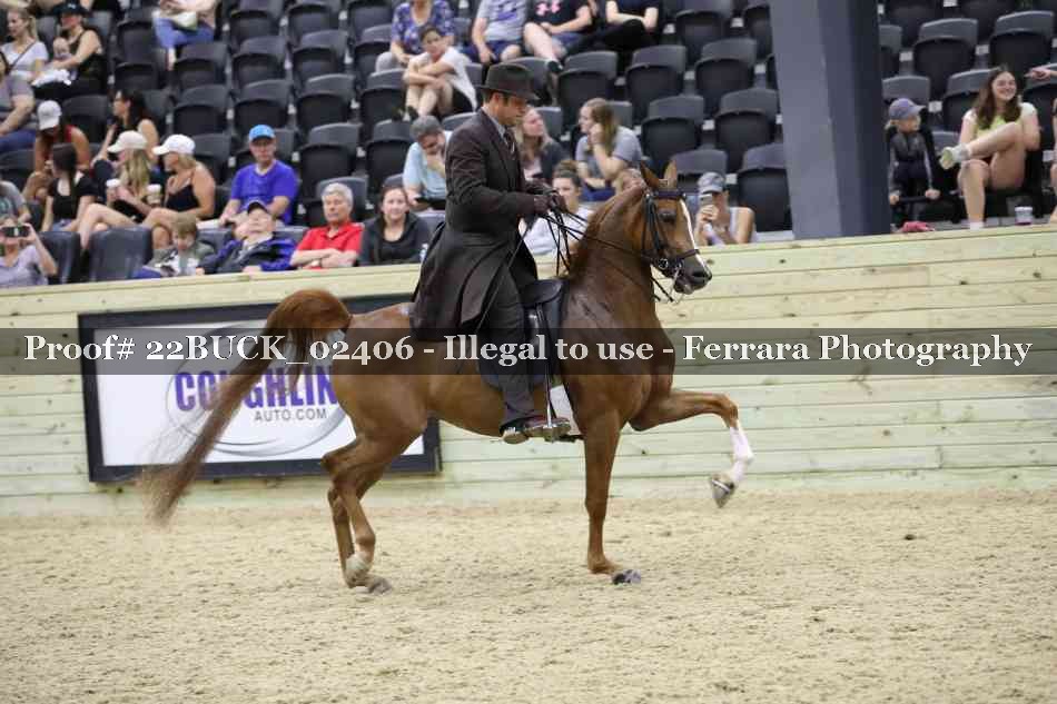 Proof 22BUCK_02406