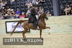 22BUCK_02406 proof