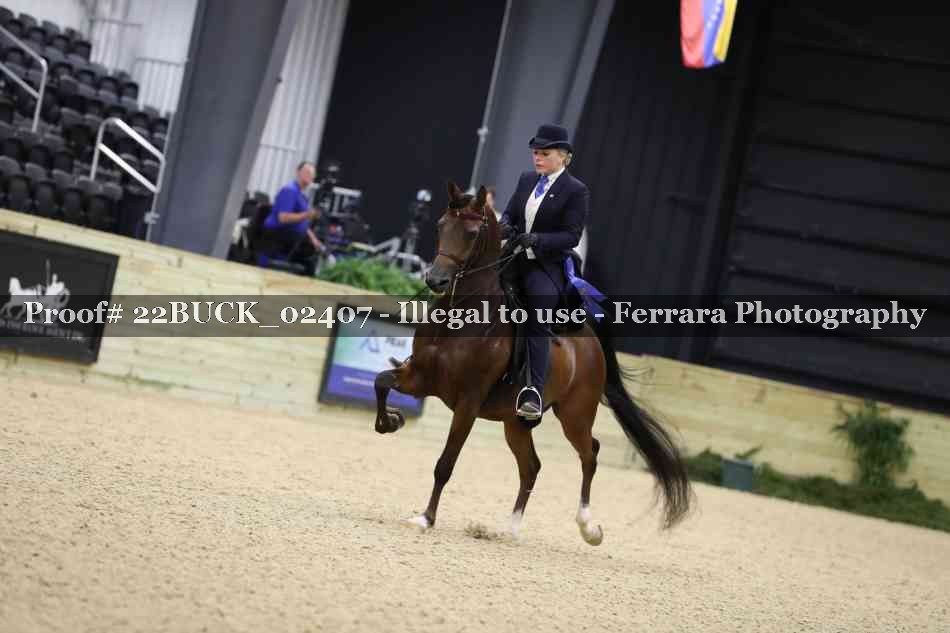 Proof 22BUCK_02407