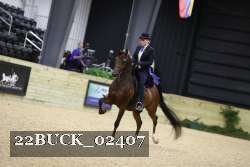 22BUCK_02407 proof