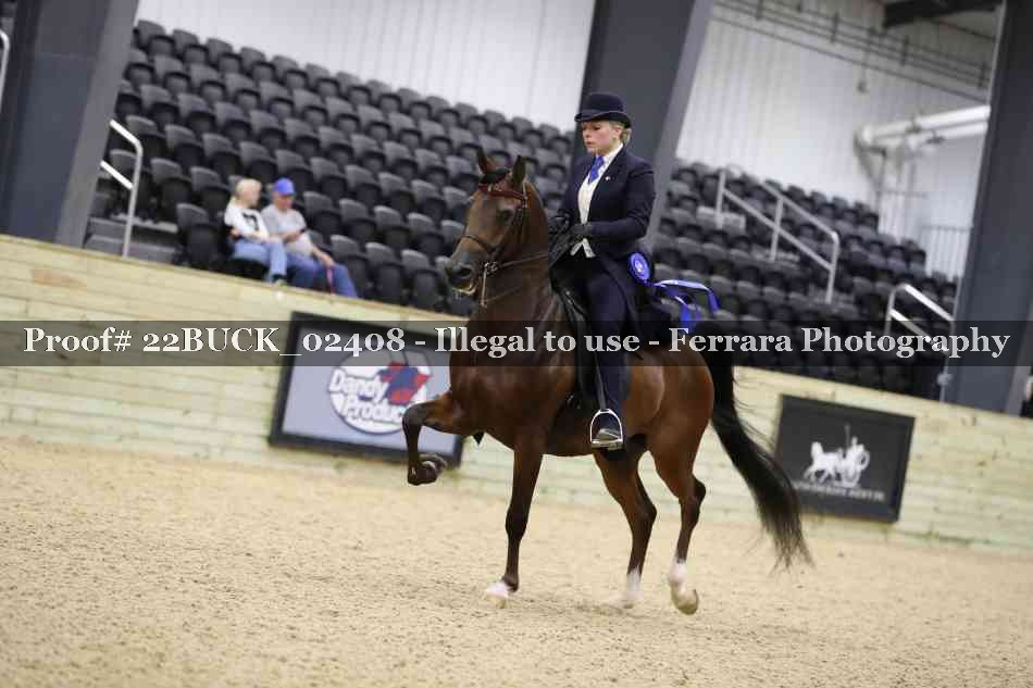 Proof 22BUCK_02408