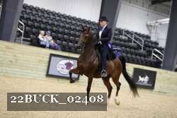 22BUCK_02408 proof