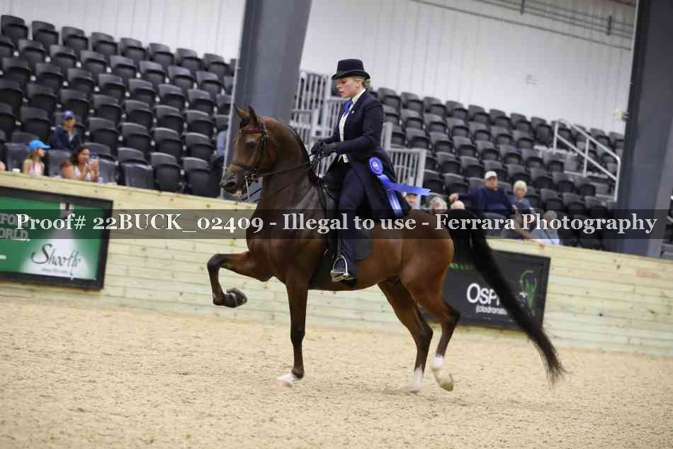 Proof 22BUCK_02409