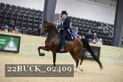 22BUCK_02409 proof