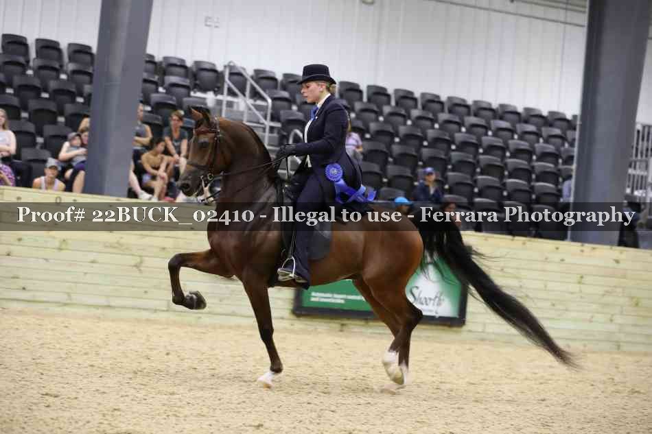 Proof 22BUCK_02410
