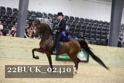 22BUCK_02410 proof