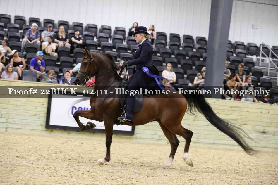 Proof 22BUCK_02411