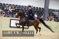 22BUCK_02411 proof