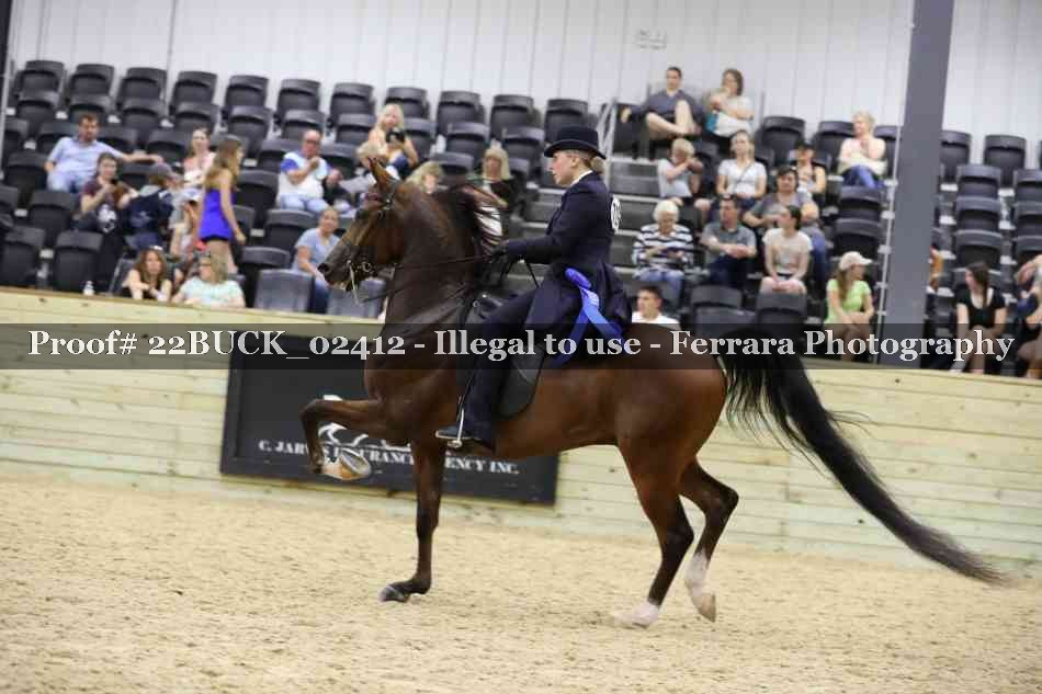 Proof 22BUCK_02412