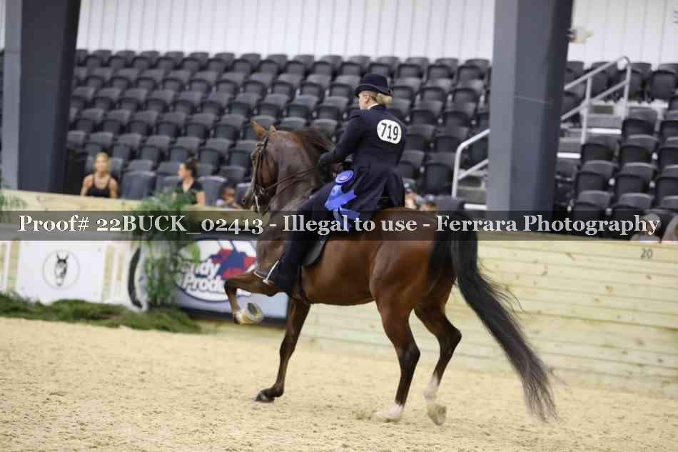 Proof 22BUCK_02413
