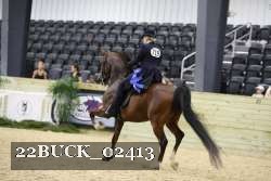22BUCK_02413 proof