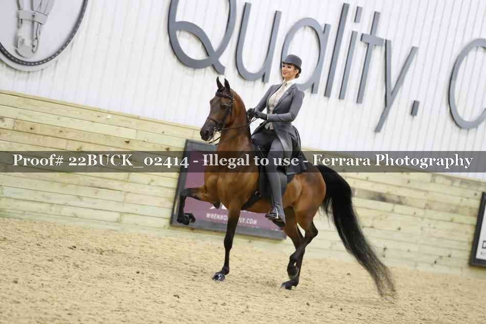 Proof 22BUCK_02414