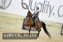 22BUCK_02414 proof