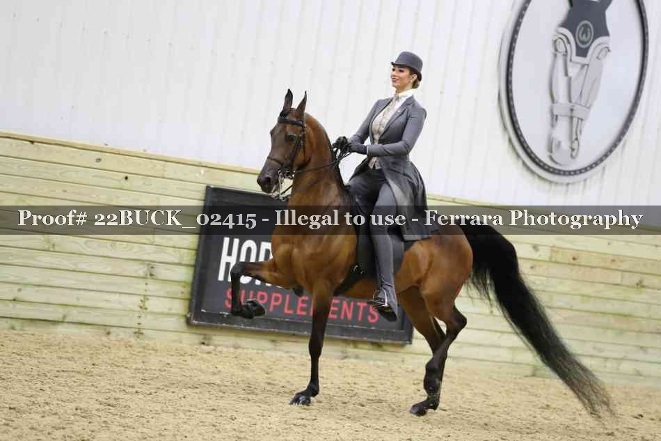 Proof 22BUCK_02415