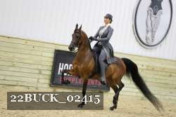 22BUCK_02415 proof