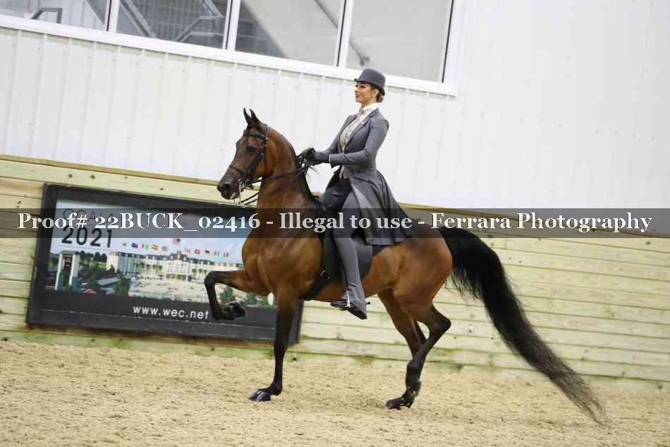Proof 22BUCK_02416